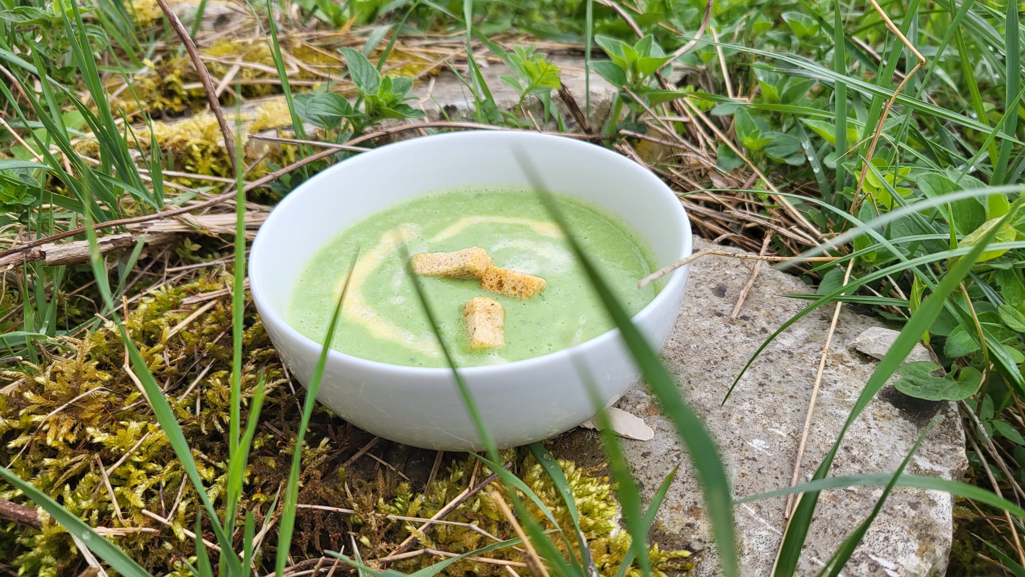 Grüne Suppe im weißen Schälchen stehend auf einem Stein